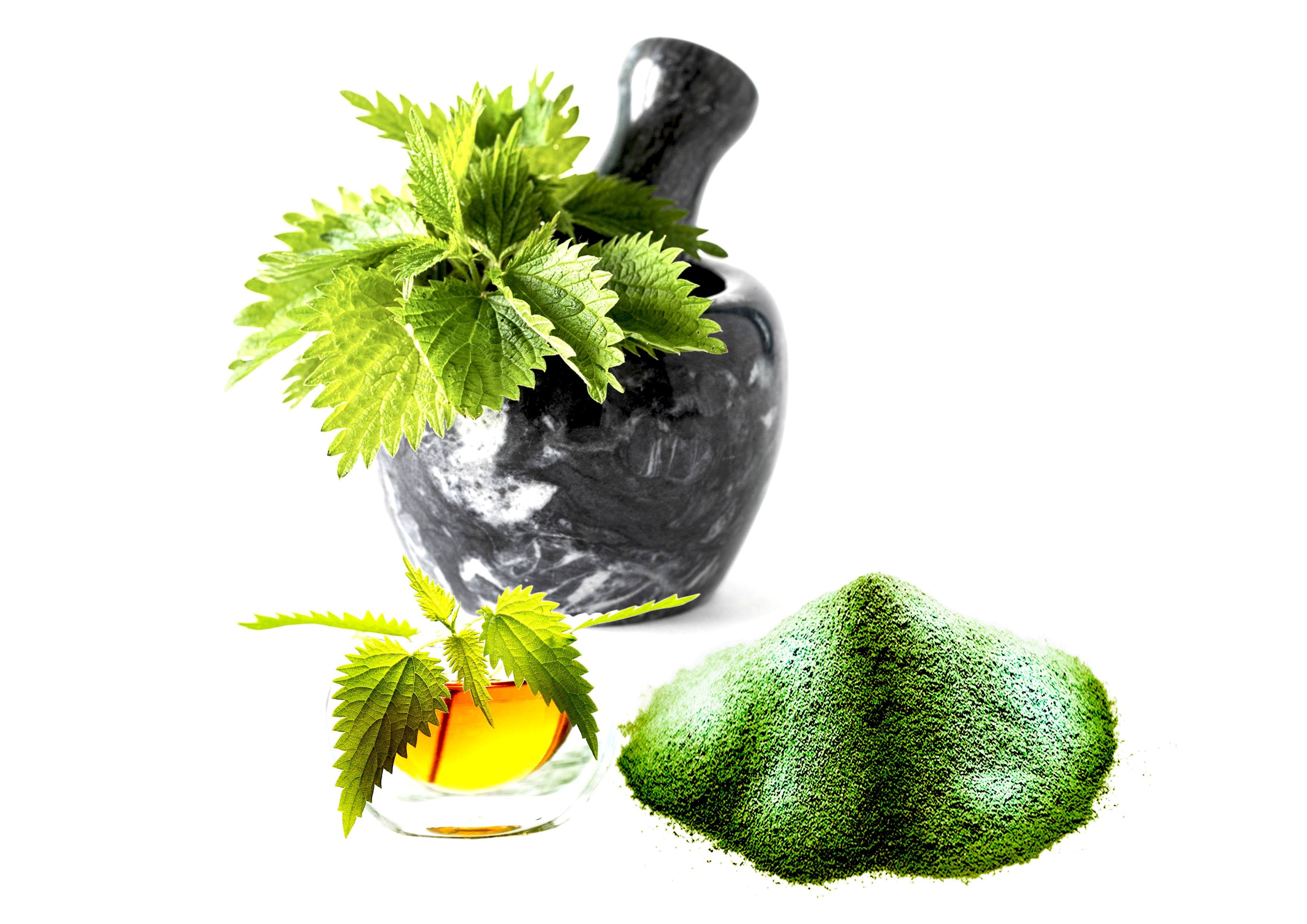 THE INCREDIBLE ORGANIC NETTLE - Food Supplement-1